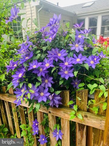 8130 BRIAR CREEK DR, Annandale, VA 22003