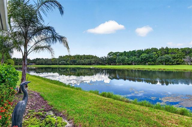 10324 SAVILLE ROWE LANE, Tampa, FL 33626
