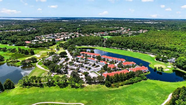 10324 SAVILLE ROWE LANE, Tampa, FL 33626