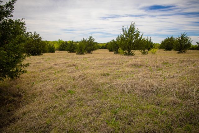 Lot 10 PR 291, Dodd City, TX 75438