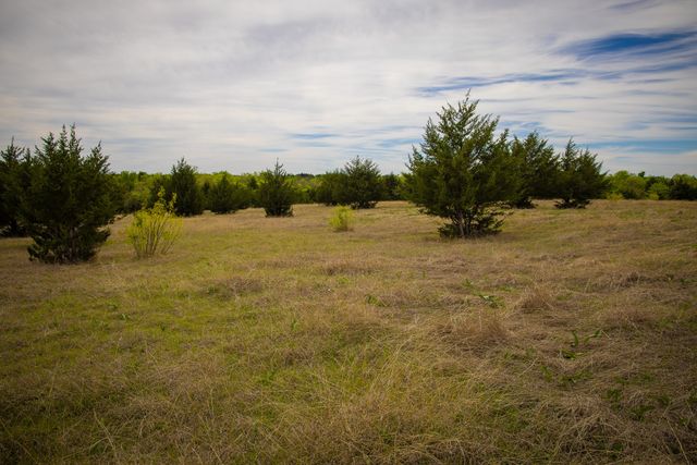 Lot 10 PR 291, Dodd City, TX 75438