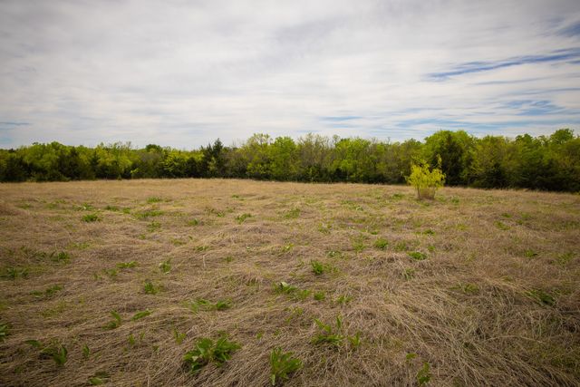 Lot 10 PR 291, Dodd City, TX 75438