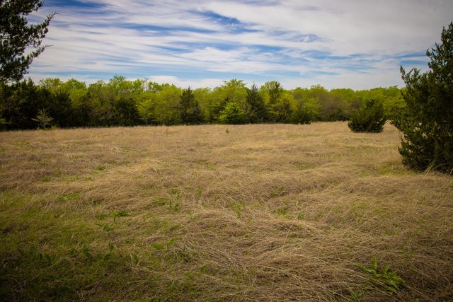 Lot 10 PR 291, Dodd City, TX 75438