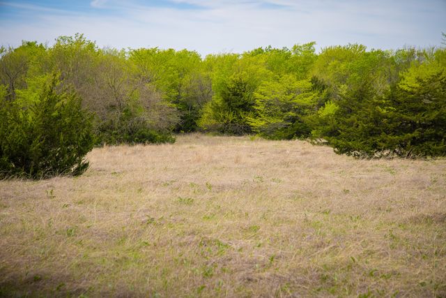 Lot 10 PR 291, Dodd City, TX 75438
