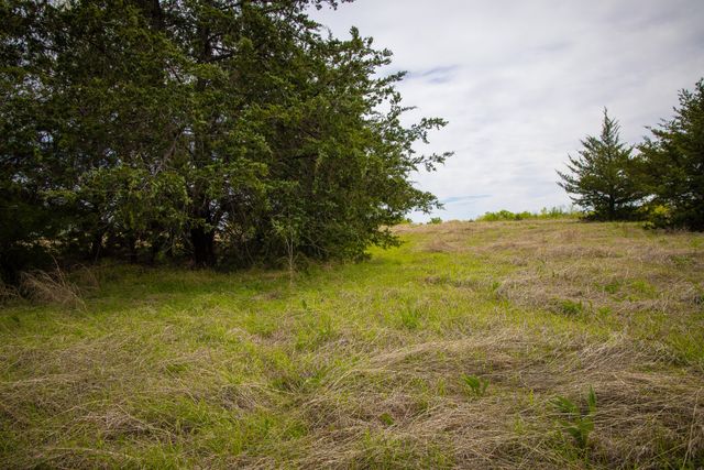 Lot 10 PR 291, Dodd City, TX 75438