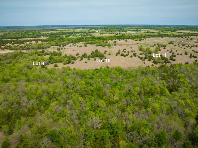 Lot 10 PR 291, Dodd City, TX 75438