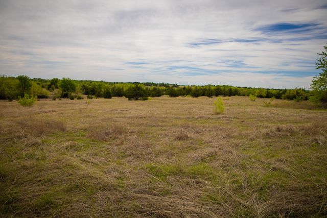 Lot 10 PR 291, Dodd City, TX 75438