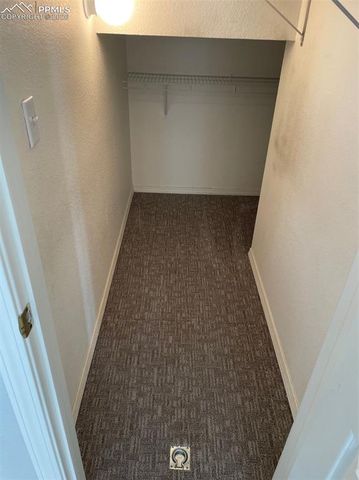 1834 Britton View, Colorado Springs, CO 80905