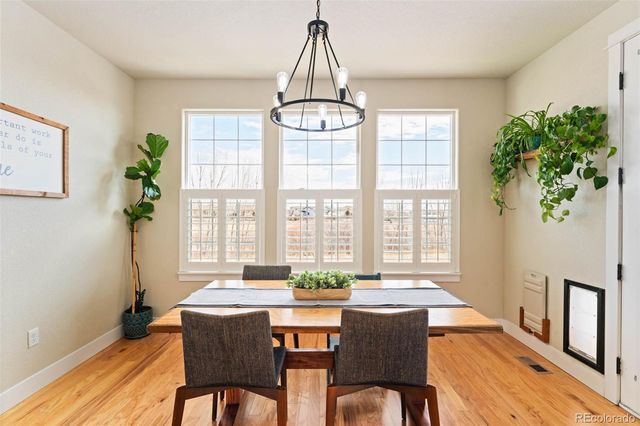 244 Mt Harvard Avenue, Severance, CO 80550