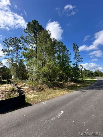 3125 W Fairbank Drive, Citrus Springs, FL 34433
