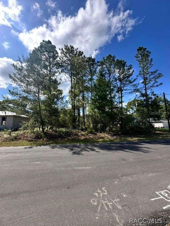 3125 W Fairbank Drive, Citrus Springs, FL 34433