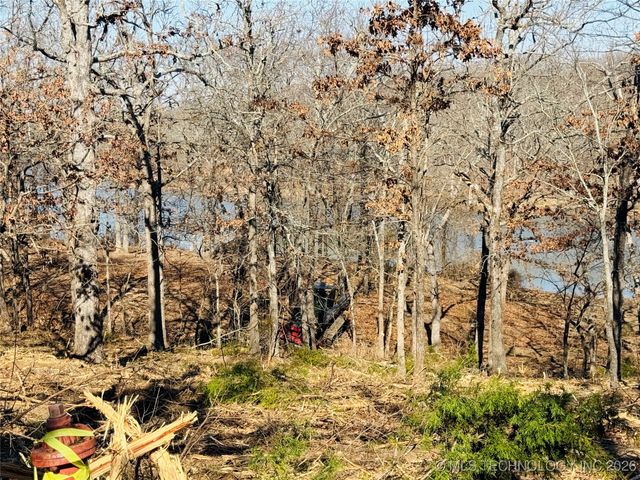 0 Falcon Lane, Eufaula, OK 74432