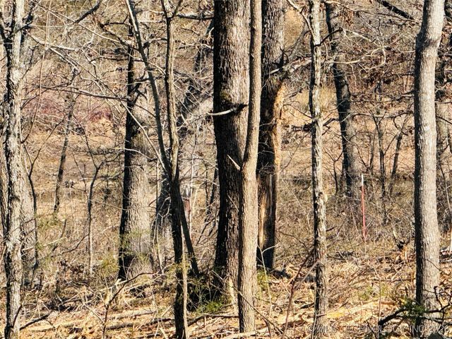 0 Falcon Lane, Eufaula, OK 74432