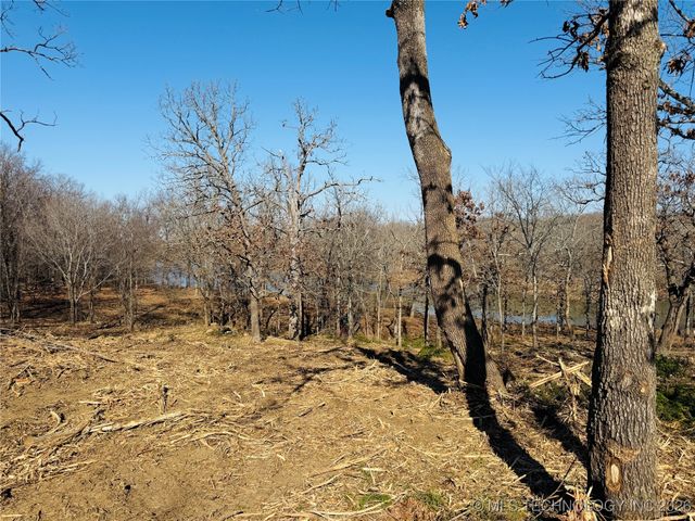 0 Falcon Lane, Eufaula, OK 74432