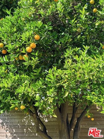 8111 Westlawn Avenue, Los Angeles, CA 90045