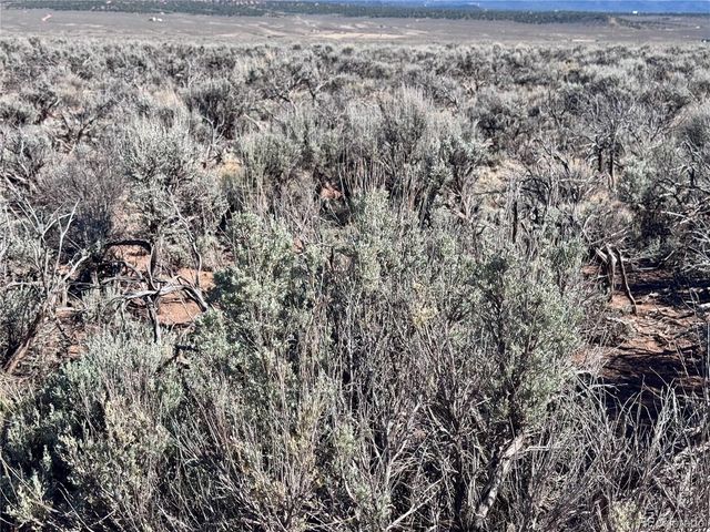 Lots 3036,3040 Patricia Rd, Fort Garland, CO 81133