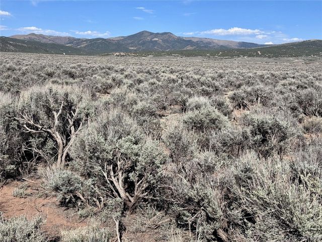 Lots 3036,3040 Patricia Rd, Fort Garland, CO 81133