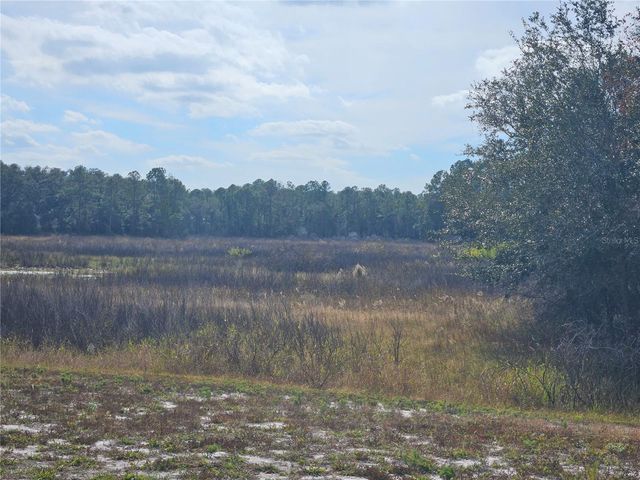 34794 ORCHID PARKWAY, Dade City, FL 33523