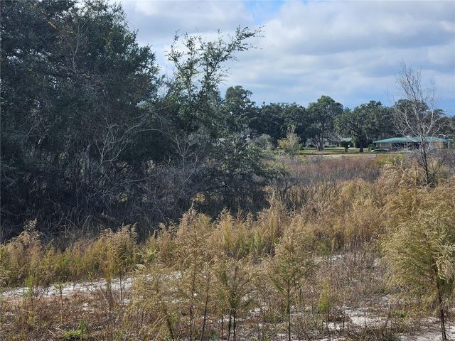 34794 ORCHID PARKWAY, Dade City, FL 33523