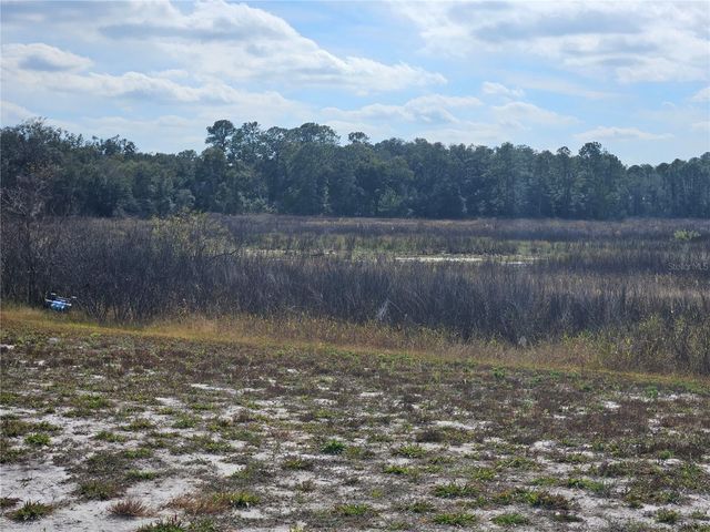 34794 ORCHID PARKWAY, Dade City, FL 33523