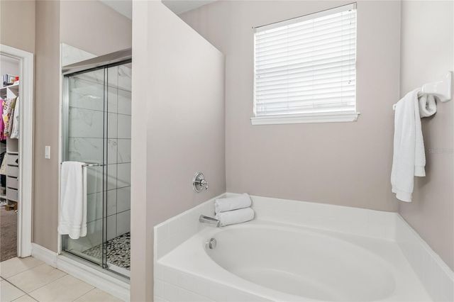 3308 PRIMROSE WILLOW DRIVE, St Cloud, FL 34773