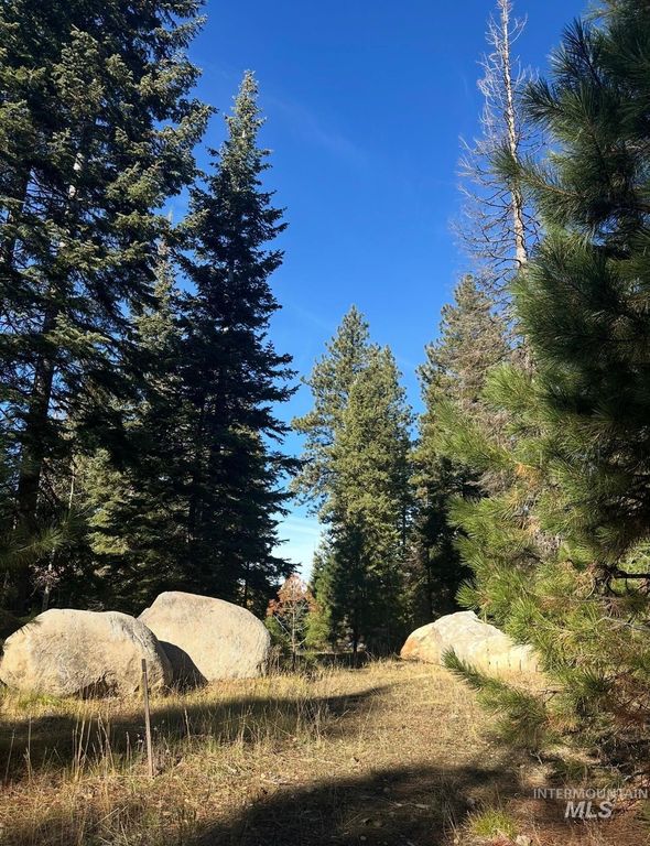 TBD Heavens Gate Ct., McCall, ID 83638 photo 1