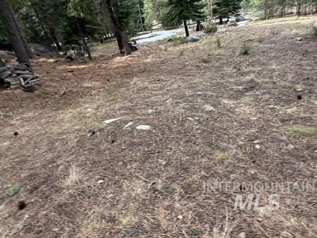 TBD Heavens Gate Ct., McCall, ID 83638 photo 3