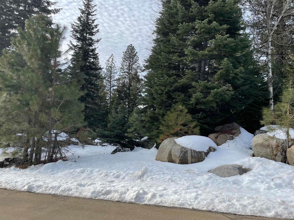 TBD Heavens Gate Ct., McCall, ID 83638 photo 4