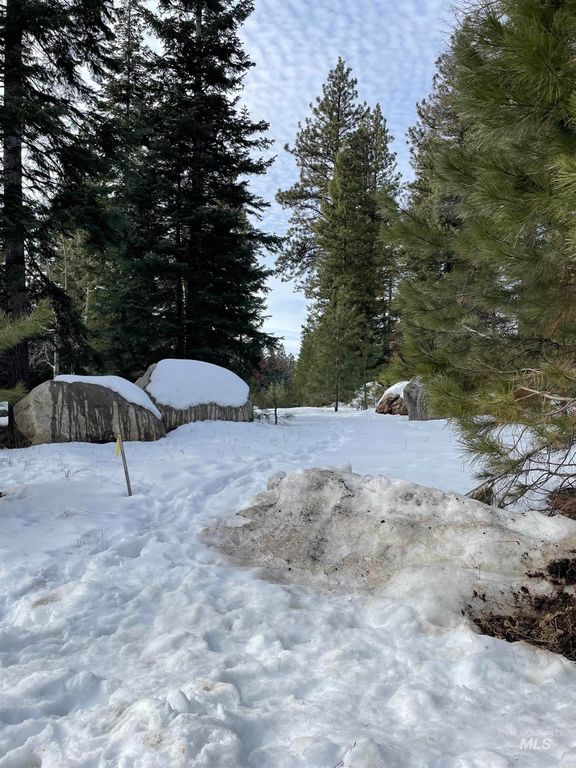 TBD Heavens Gate Ct., McCall, ID 83638 photo 5