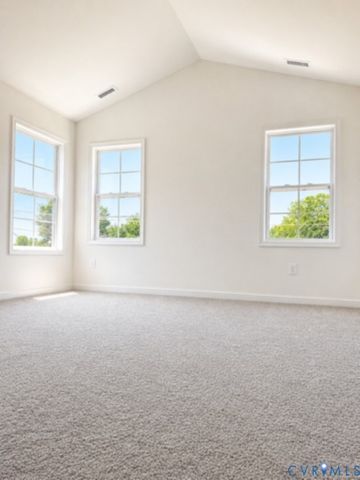 11825 Farnham Woods Dr, Midlothian, VA 23112