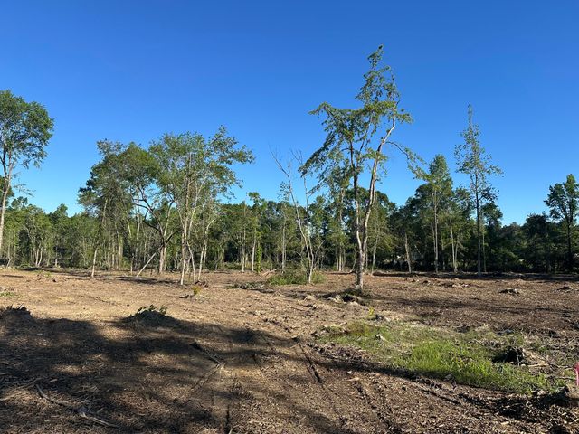 165 Sandy Run, Hattiesburg, MS 39402