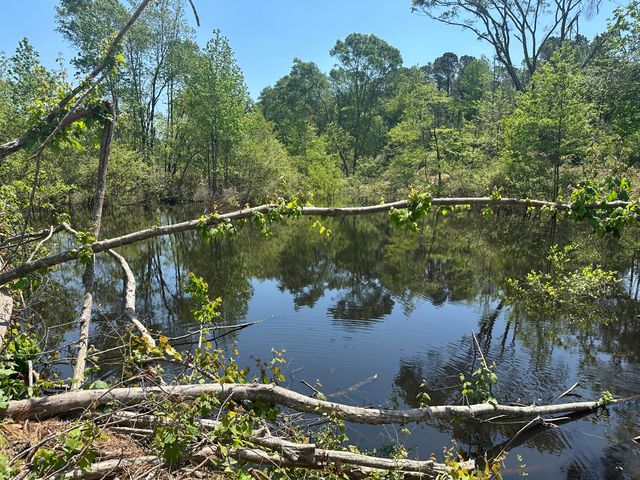 165 Sandy Run, Hattiesburg, MS 39402