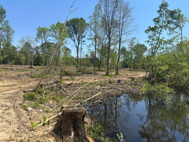 165 Sandy Run, Hattiesburg, MS 39402