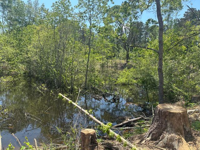 165 Sandy Run, Hattiesburg, MS 39402