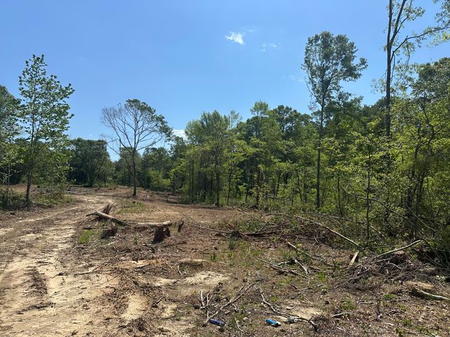 165 Sandy Run, Hattiesburg, MS 39402