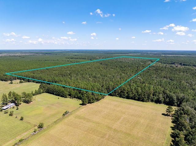 Beehive Loop, Singer, LA 70660