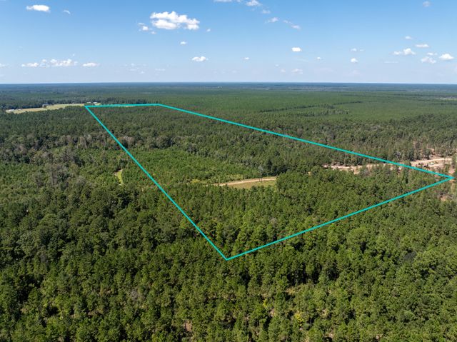 Beehive Loop, Singer, LA 70660