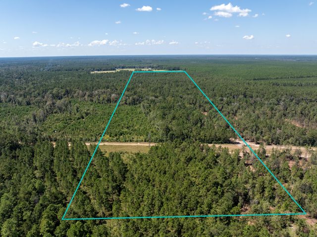 Beehive Loop, Singer, LA 70660