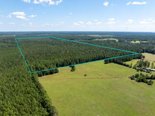 Beehive Loop, Singer, LA 70660