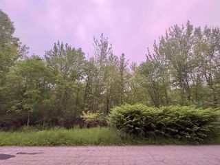 0 Ninth Street, Michigan Center, MI 49254