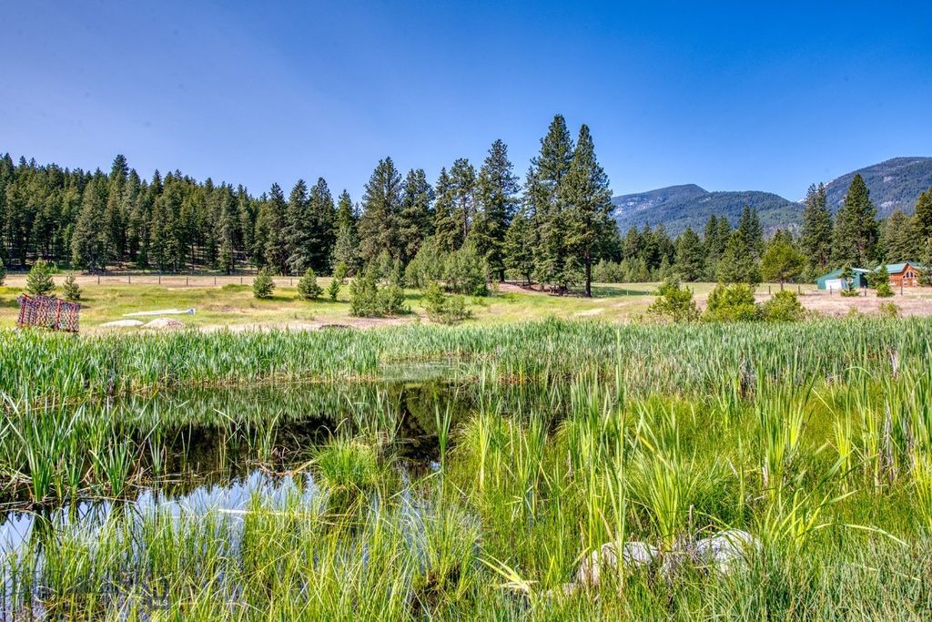 406 Chief Joseph Trail, Darby, MT 59829 photo 5