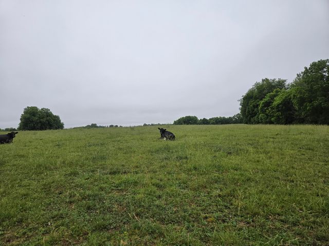 4430 State Hwy 1194, Stanford, KY 40484