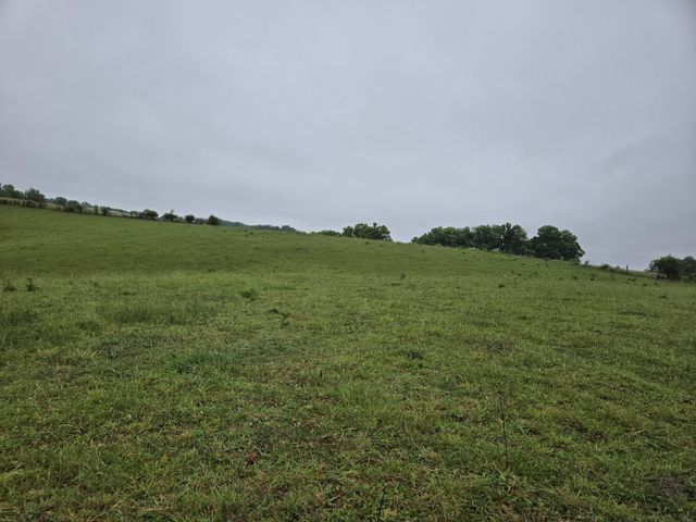 4430 State Hwy 1194, Stanford, KY 40484