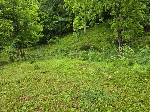 4430 State Hwy 1194, Stanford, KY 40484