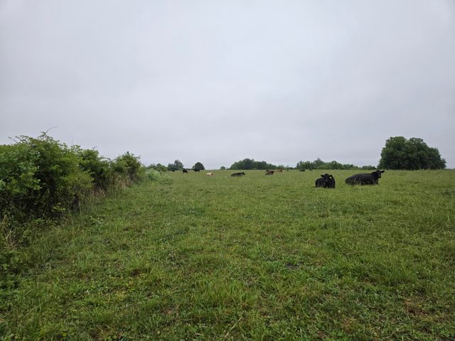 4430 State Hwy 1194, Stanford, KY 40484