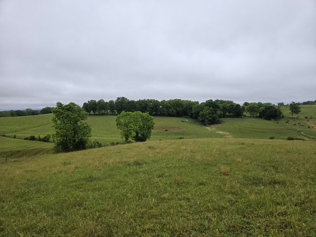 4430 State Hwy 1194, Stanford, KY 40484