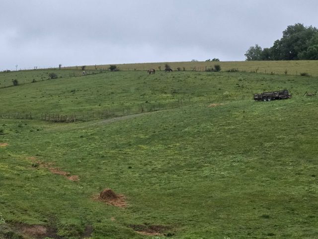 4430 State Hwy 1194, Stanford, KY 40484