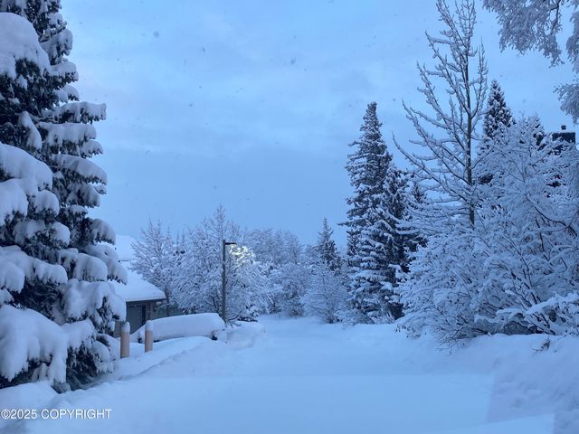 18722 Guillemot Circle, Anchorage, AK 99516