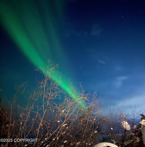 18722 Guillemot Circle, Anchorage, AK 99516