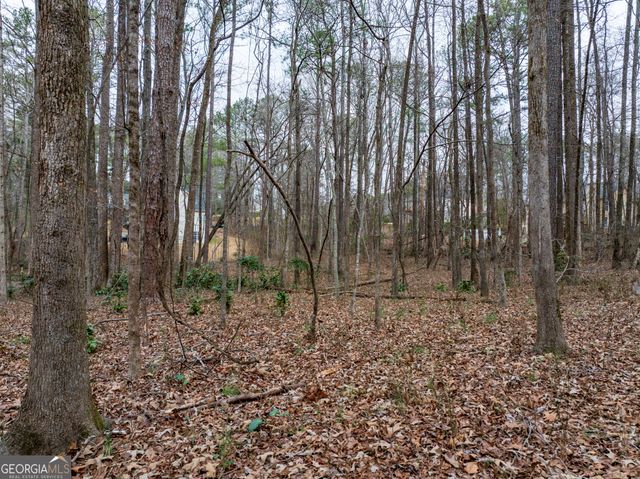 8.5 ACRES Rockbridge Road S, Stone Mountain, GA 30087